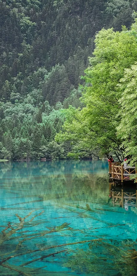 稻 城 亞 丁