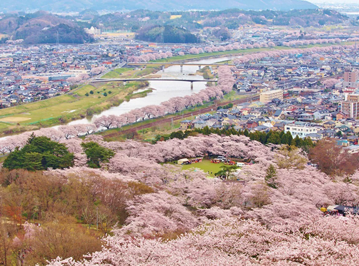 東北櫻花大集合．鐵道花見之旅9日
